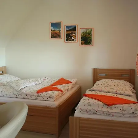 Penzion Pod Palavu Affittacamere *